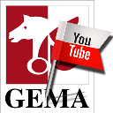 Der Streit zwischen Youtube und der GEMA